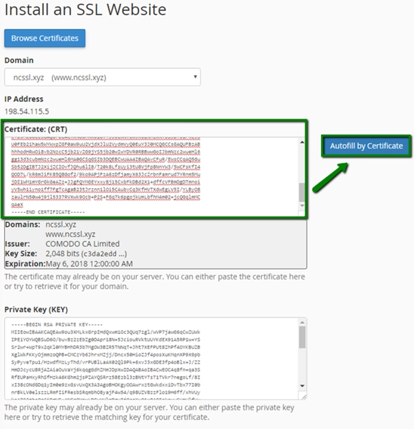 استفاده از گزینه Autofill by Certificate